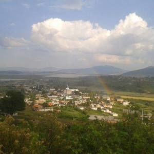 Meet your Posher, Armando